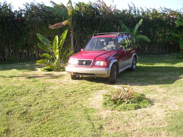 Dominica Car Rental